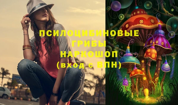 ГАЛЛЮЦИНОГЕННЫЕ ГРИБЫ Арсеньев
