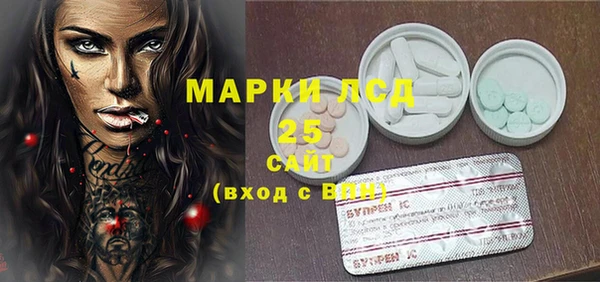 ГАЛЛЮЦИНОГЕННЫЕ ГРИБЫ Арсеньев