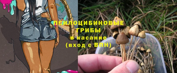 винт Армянск